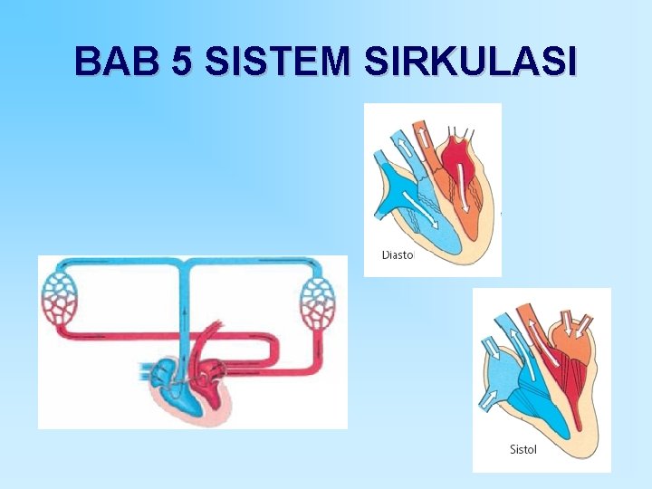 BAB 5 SISTEM SIRKULASI 