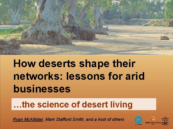 How deserts shape their networks: lessons for arid businesses …the science of desert living