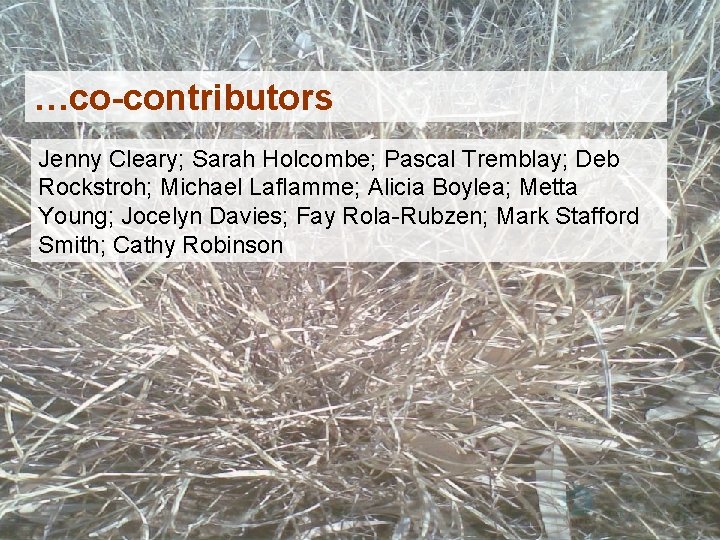 …co-contributors Jenny Cleary; Sarah Holcombe; Pascal Tremblay; Deb Rockstroh; Michael Laflamme; Alicia Boylea; Metta