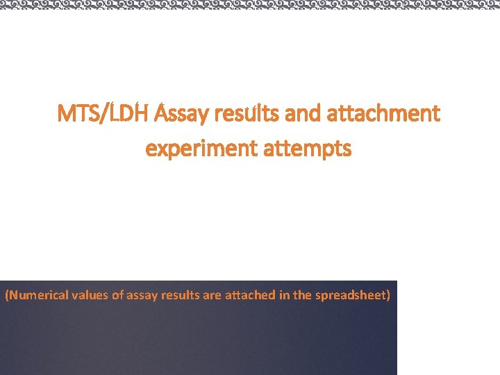 MTS/LDH Assay results and attachment experiment attempts (Numerical values of assay results are attached