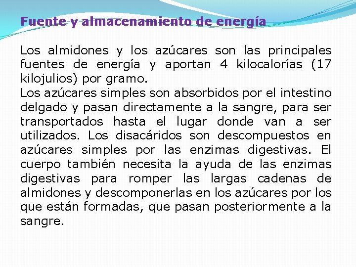 Fuente y almacenamiento de energía Los almidones y los azúcares son las principales fuentes