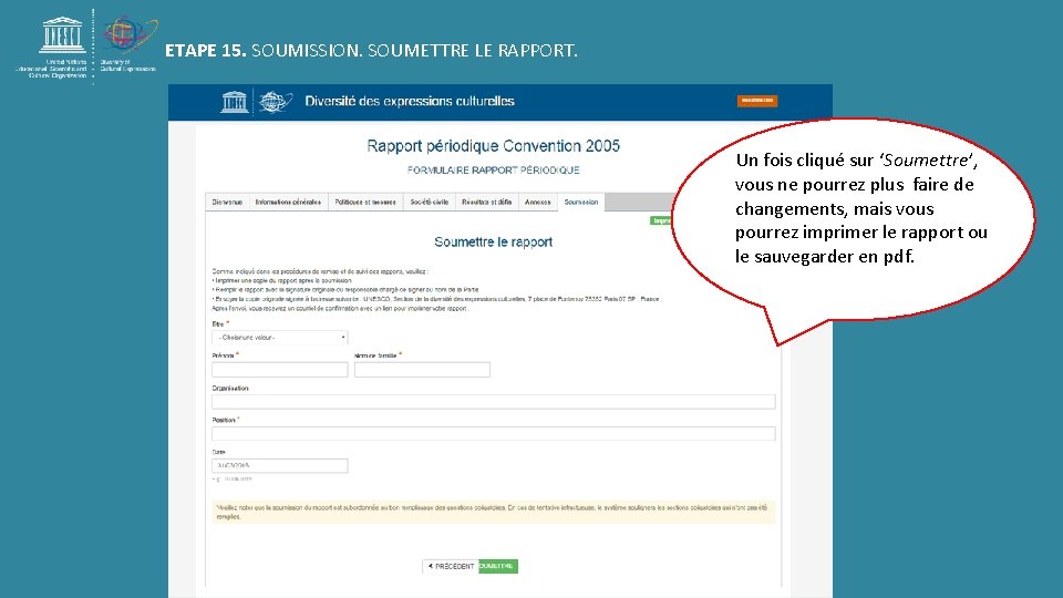 ETAPE 15. SOUMISSION. SOUMETTRE LE RAPPORT. Un fois cliqué sur ‘Soumettre’, vous ne pourrez