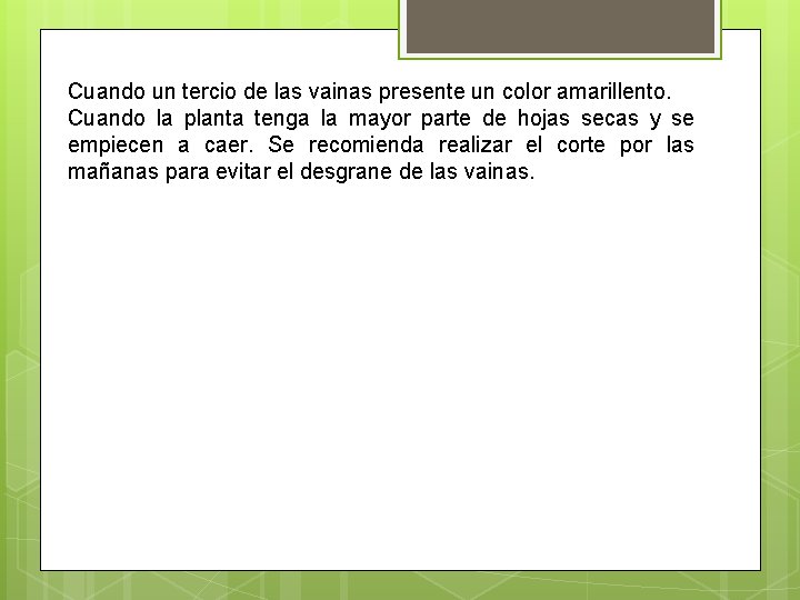 Cuando un tercio de las vainas presente un color amarillento. Cuando la planta tenga Cuando un tercio de las vainas presente un color amarillento. Cuando la planta tenga