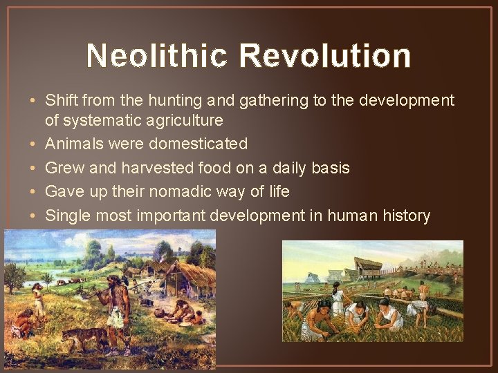 Neolithic Revolution • Shift from the hunting and gathering to the development of systematic