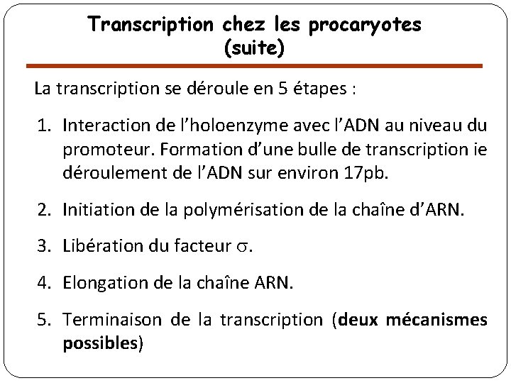 Transcription chez les procaryotes (suite) La transcription se déroule en 5 étapes : 1.