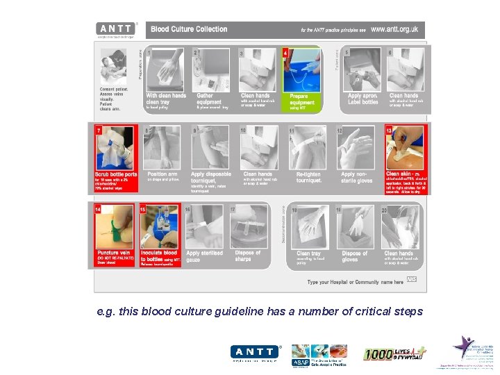 e. g. this blood culture guideline has a number of critical steps 