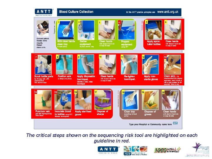 The critical steps shown on the sequencing risk tool are highlighted on each guideline