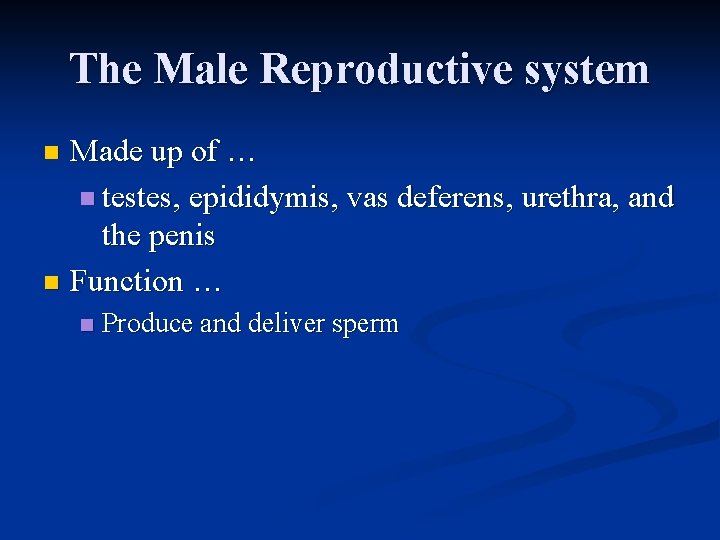 The Male Reproductive system Made up of … n testes, epididymis, vas deferens, urethra,