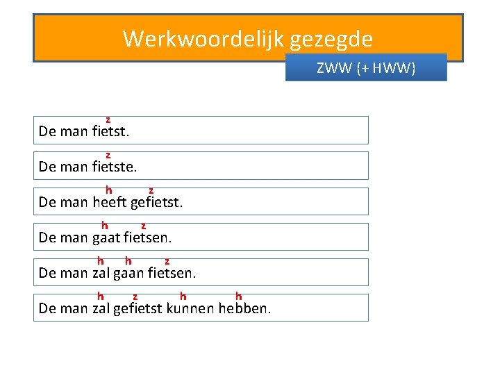 Werkwoordelijk gezegde ZWW (+ HWW) z De man fietste. h z De man heeft