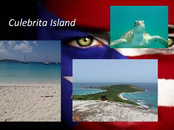 Culebrita Island 