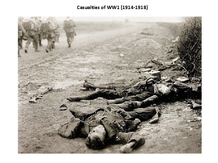Casualties of WW 1 (1914 -1918) 