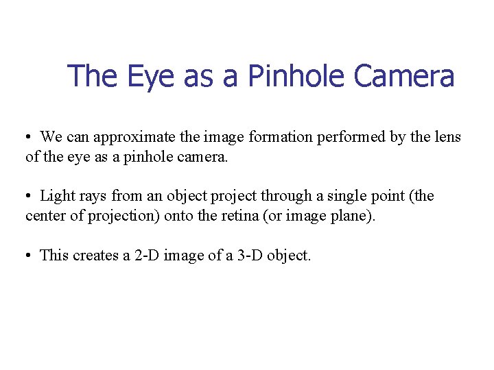 The Eye as a Pinhole Camera • We can approximate the image formation performed