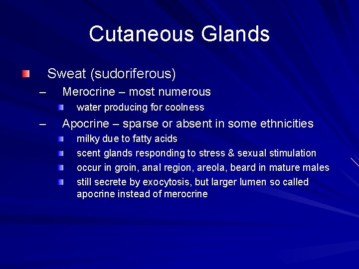 Cutaneous Glands Sweat (sudoriferous) – Merocrine – most numerous water producing for coolness –