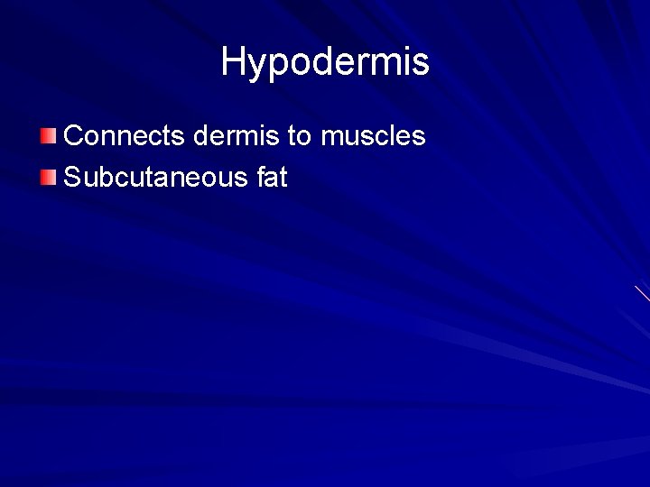Hypodermis Connects dermis to muscles Subcutaneous fat 