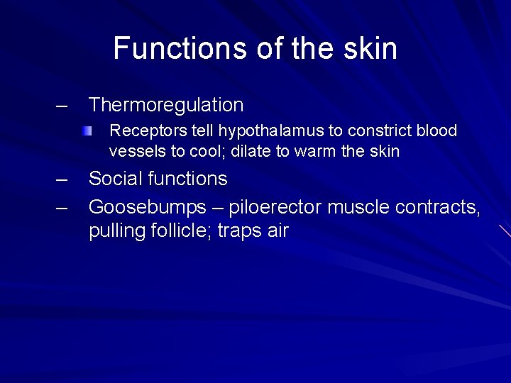 Functions of the skin – Thermoregulation Receptors tell hypothalamus to constrict blood vessels to