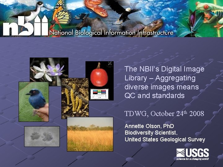 The NBII’s Digital Image Library – Aggregating diverse images means QC and standards TDWG,