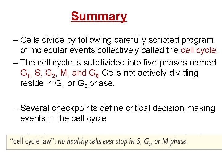 Summary – Cells divide by following carefully scripted program of molecular events collectively called