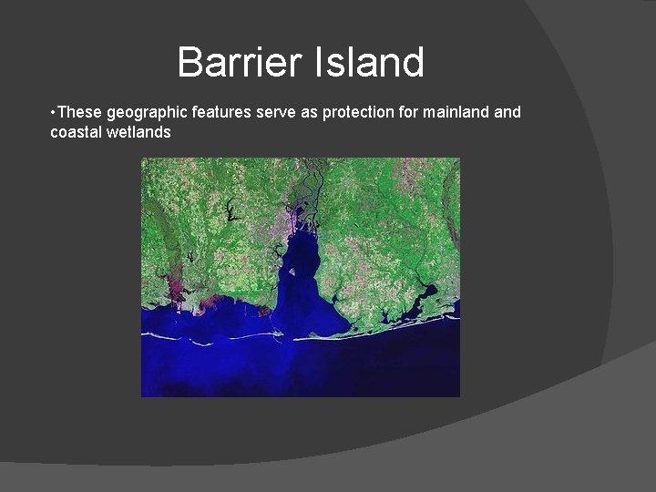 Barrier Island • These geographic features serve as protection for mainland coastal wetlands 