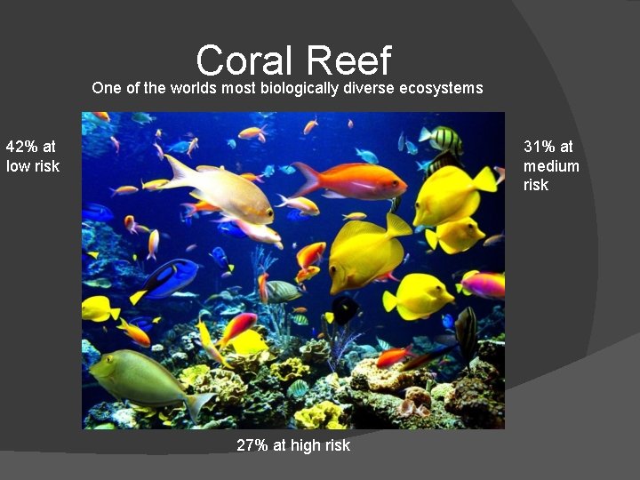 Coral Reef One of the worlds most biologically diverse ecosystems 42% at low risk