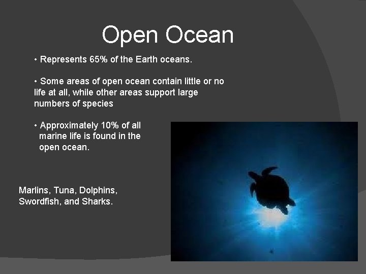 Open Ocean • Represents 65% of the Earth oceans. • Some areas of open
