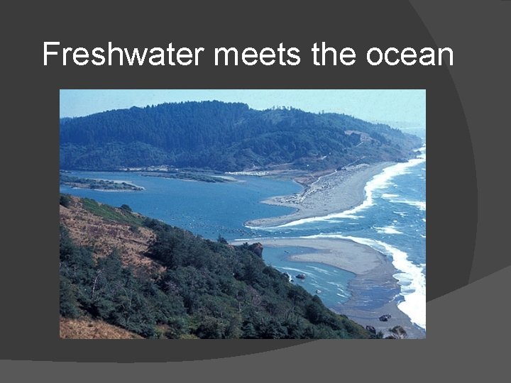 Freshwater meets the ocean 