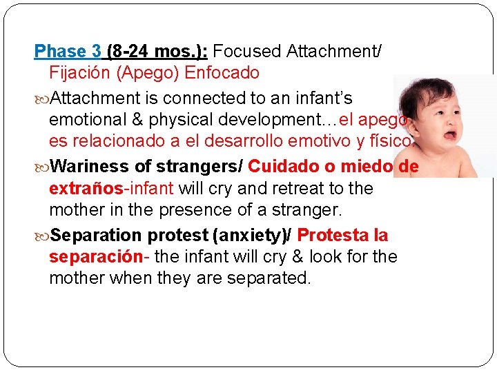 Phase 3 (8 -24 mos. ): Focused Attachment/ Fijación (Apego) Enfocado Attachment is connected