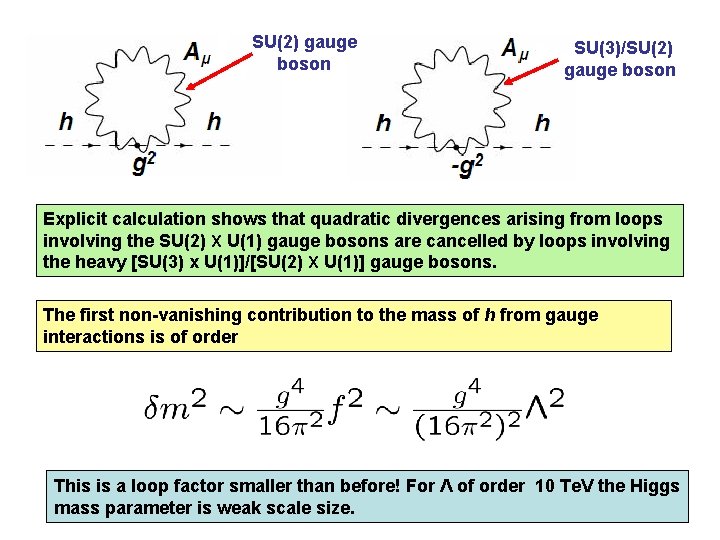 SU(2) gauge boson SU(3)/SU(2) gauge boson Explicit calculation shows that quadratic divergences arising from