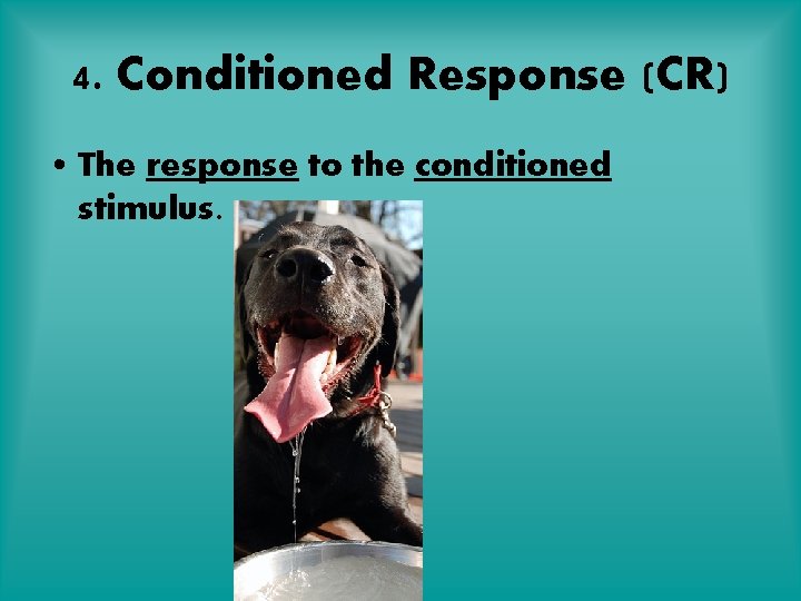 4. Conditioned Response (CR) • The response to the conditioned stimulus. 