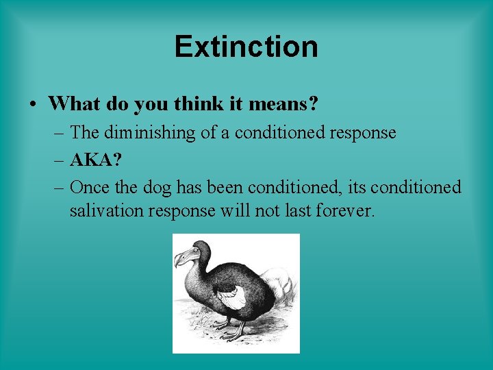 Extinction • What do you think it means? – The diminishing of a conditioned