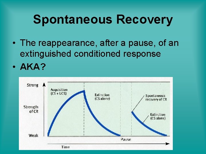 Spontaneous Recovery • The reappearance, after a pause, of an extinguished conditioned response •