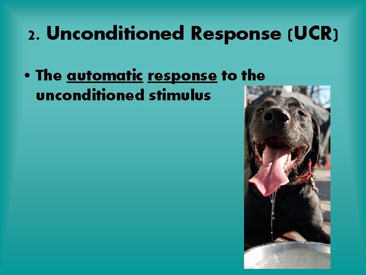 2. Unconditioned Response (UCR) • The automatic response to the unconditioned stimulus 