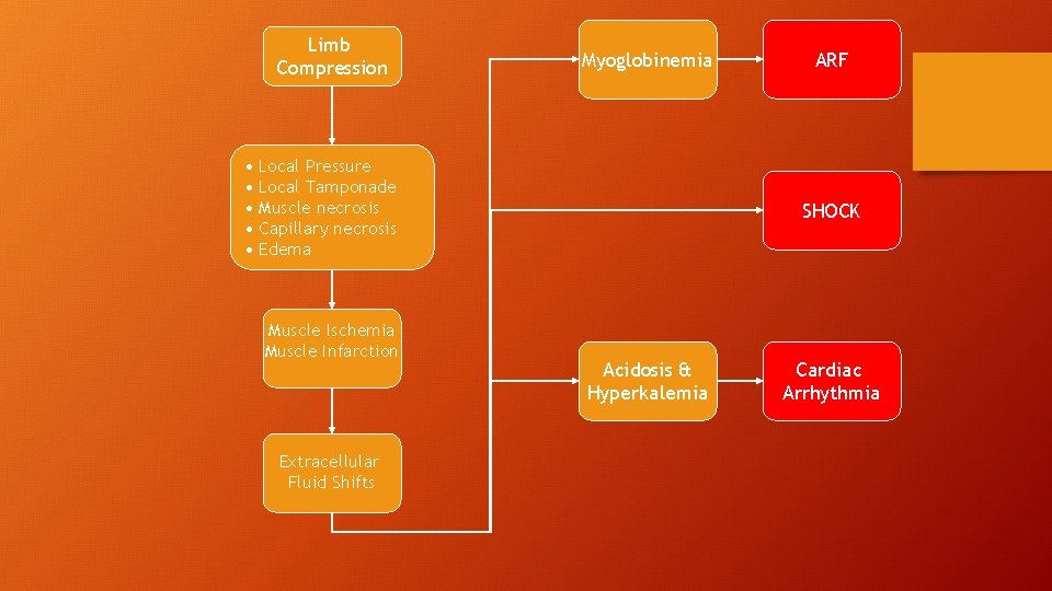 Limb Compression Myoglobinemia • Local Pressure • Local Tamponade • Muscle necrosis • Capillary