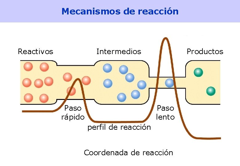 Mecanismos de reacción Reactivos Intermedios Paso rápido Productos Paso lento perfil de reacción Coordenada