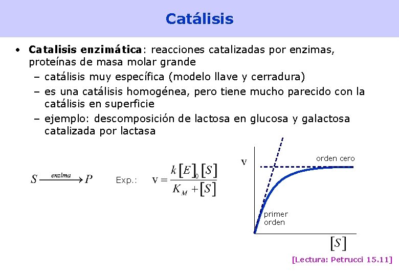 Catálisis • Catalisis enzimática: reacciones catalizadas por enzimas, proteínas de masa molar grande –