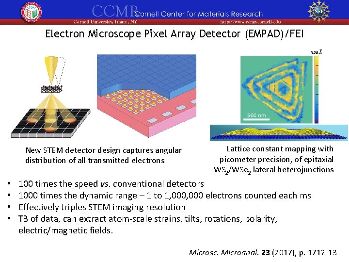 Electron Microscope Pixel Array Detector (EMPAD)/FEI New STEM detector design captures angular distribution of