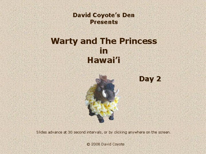 David Coyote’s Den Presents Warty and The Princess in Hawai’i Day 2 Slides advance