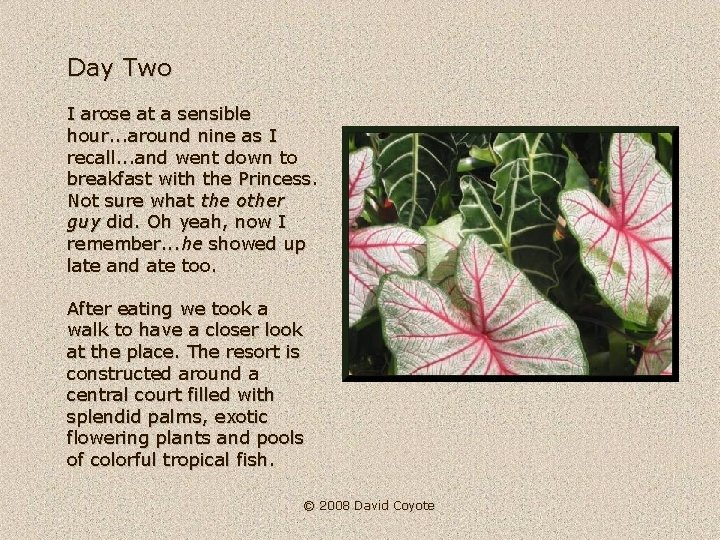 Day Two I arose at a sensible hour. . . around nine as I