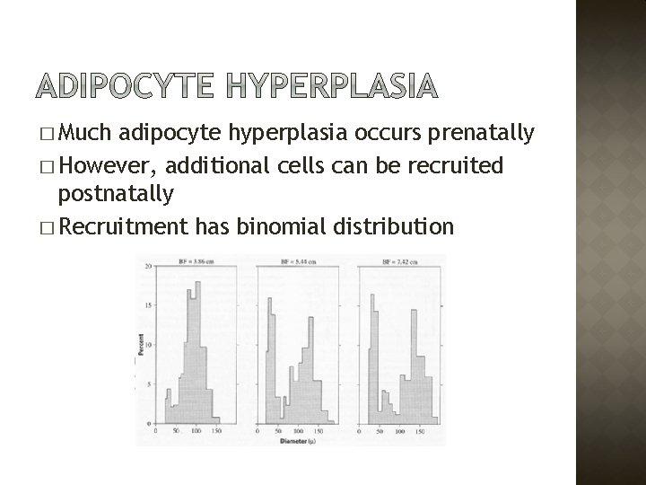 � Much adipocyte hyperplasia occurs prenatally � However, additional cells can be recruited postnatally