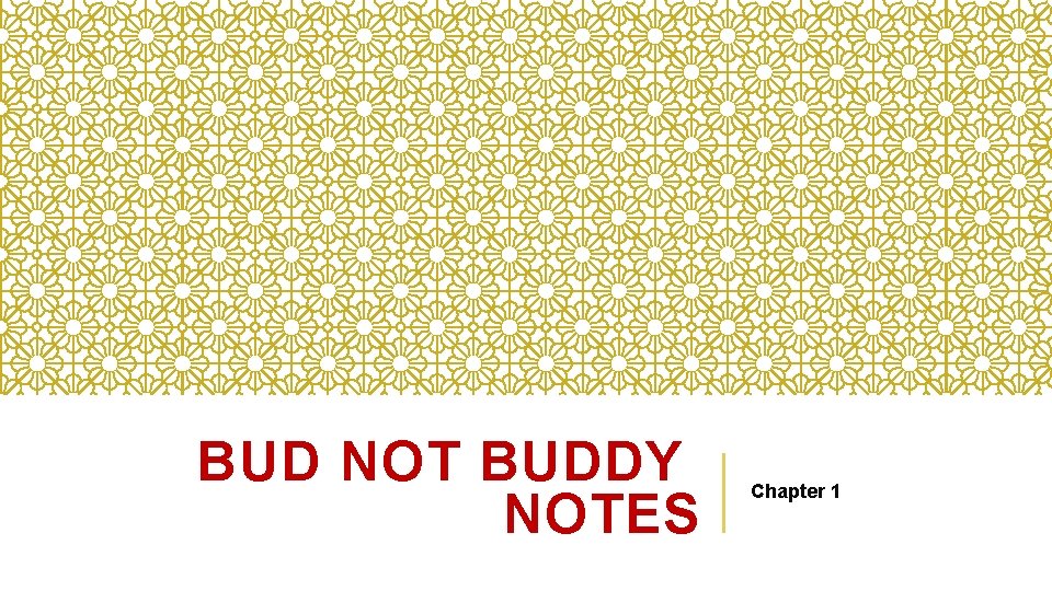 BUD NOT BUDDY NOTES Chapter 1 