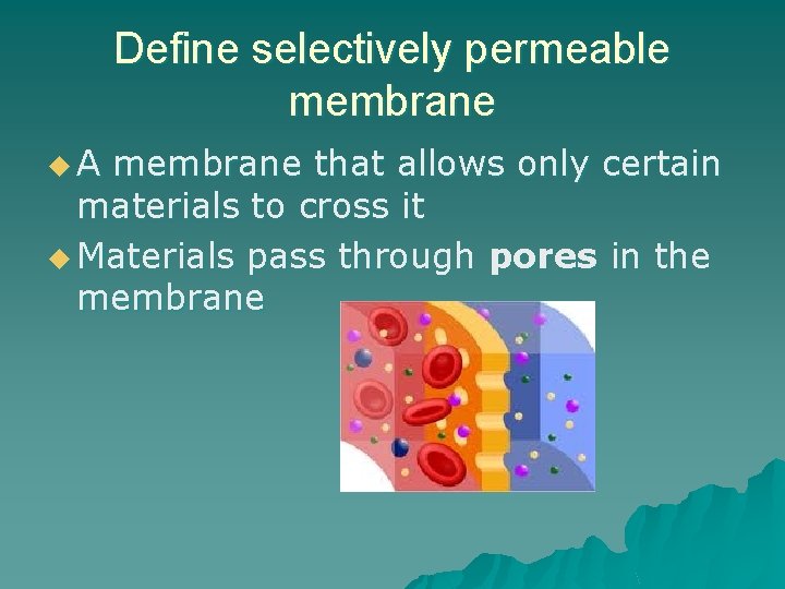 Define selectively permeable membrane u. A membrane that allows only certain materials to cross