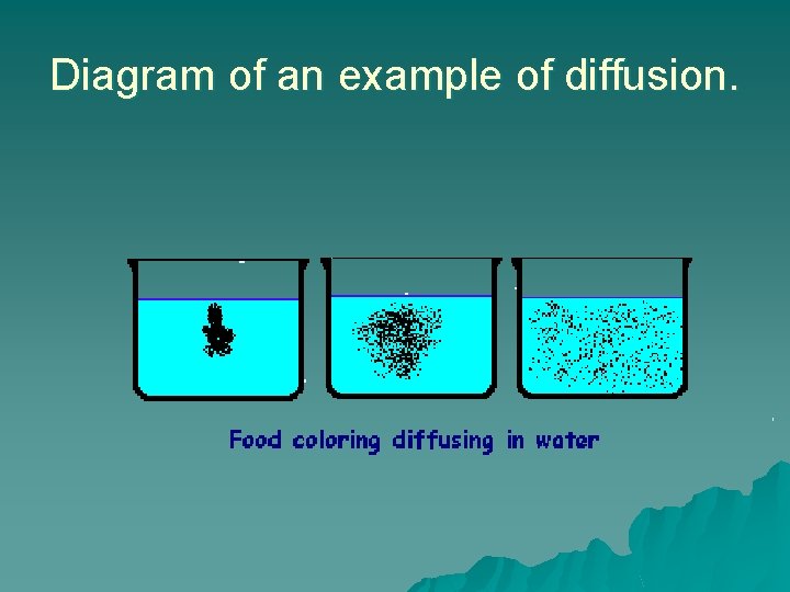 Diagram of an example of diffusion. 