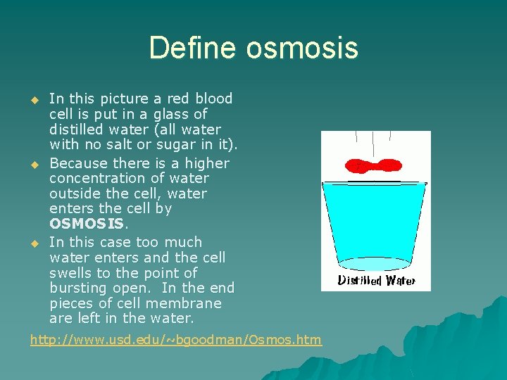 Define osmosis u u u In this picture a red blood cell is put