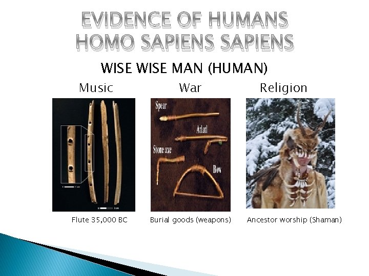 EVIDENCE OF HUMANS HOMO SAPIENS WISE MAN (HUMAN) Music Flute 35, 000 BC War