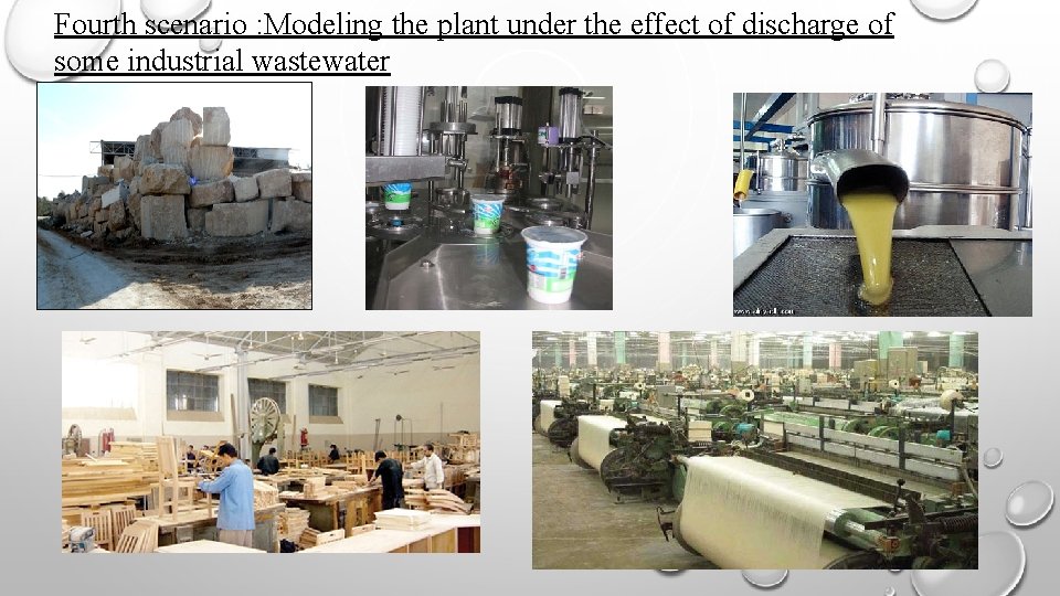Fourth scenario : Modeling the plant under the effect of discharge of some industrial