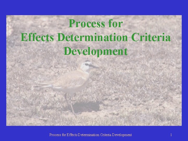 Process for Effects Determination Criteria Development 1 