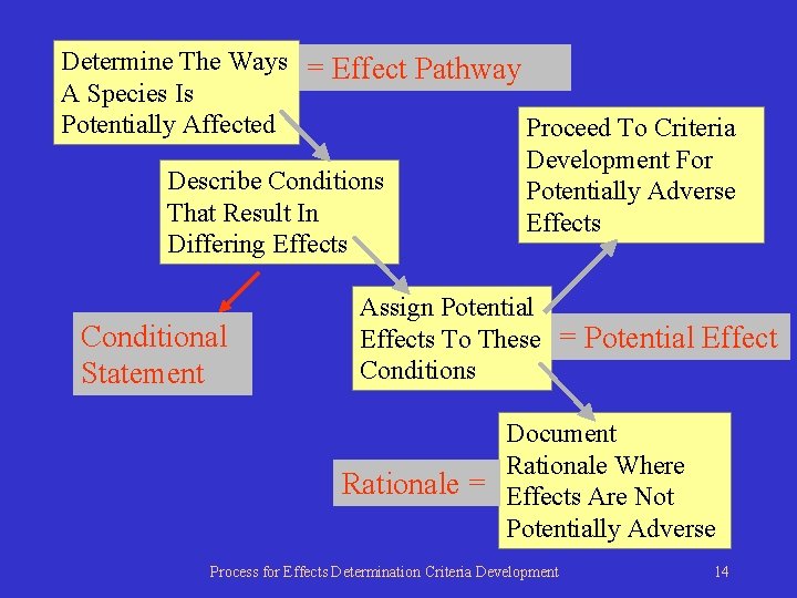 Determine The Ways = Effect Pathway A Species Is Potentially Affected Proceed To Criteria