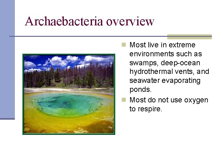 Archaebacteria overview n Most live in extreme environments such as swamps, deep-ocean hydrothermal vents,