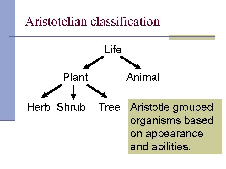 Aristotelian classification Life Plant Herb Shrub Animal Tree Aristotle grouped organisms based on appearance