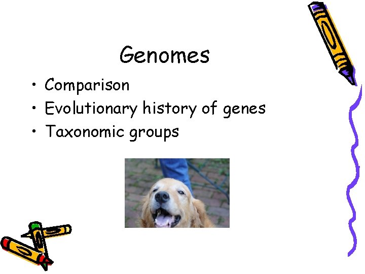 Genomes • Comparison • Evolutionary history of genes • Taxonomic groups 