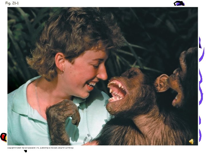 Fig. 21 -1 Fig. 21 -1